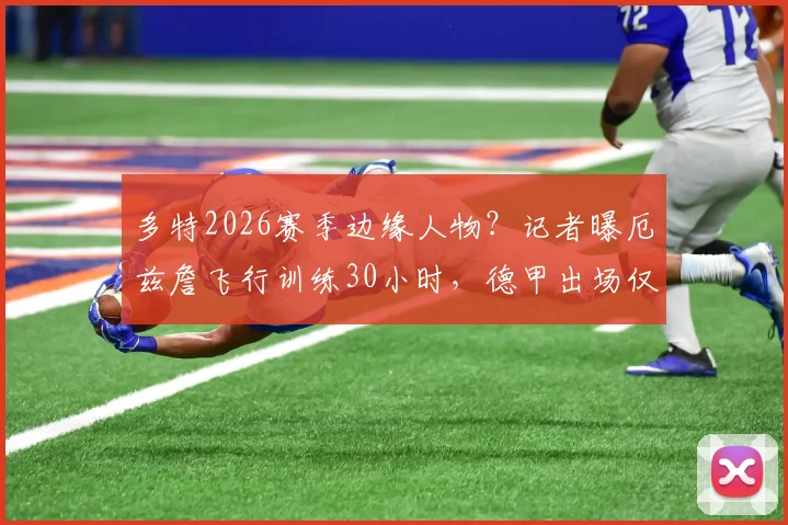 多特2026赛季边缘人物？记者曝厄兹詹飞行训练30小时，德甲出场仅32分钟引深思