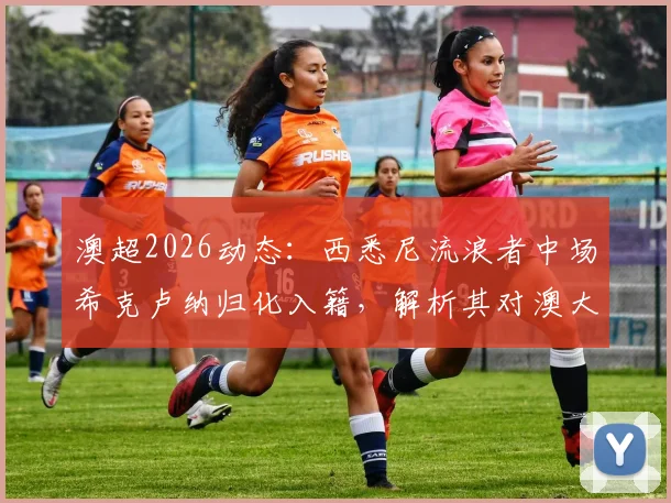 澳超2026动态：西悉尼流浪者中场希克卢纳归化入籍，解析其对澳大利亚国家队的战术价值