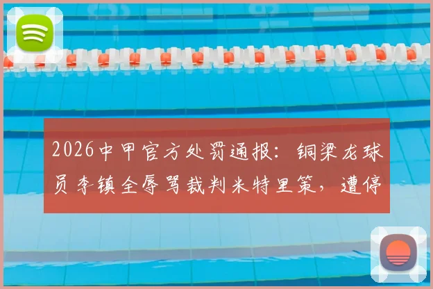 2026中甲官方处罚通报：铜梁龙球员李镇全辱骂裁判米特里策，遭停赛2场并罚款2万元